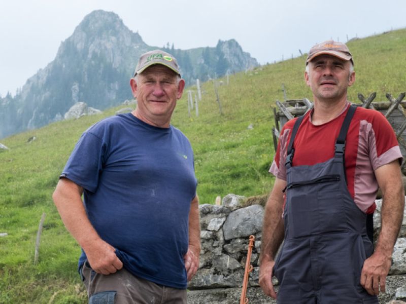 Andreas Bachofner (links im Bild) und Markus Steiner wollen «ihre» Mattenalp zukunftsfähig machen. (Foto: Léonie Hagen)