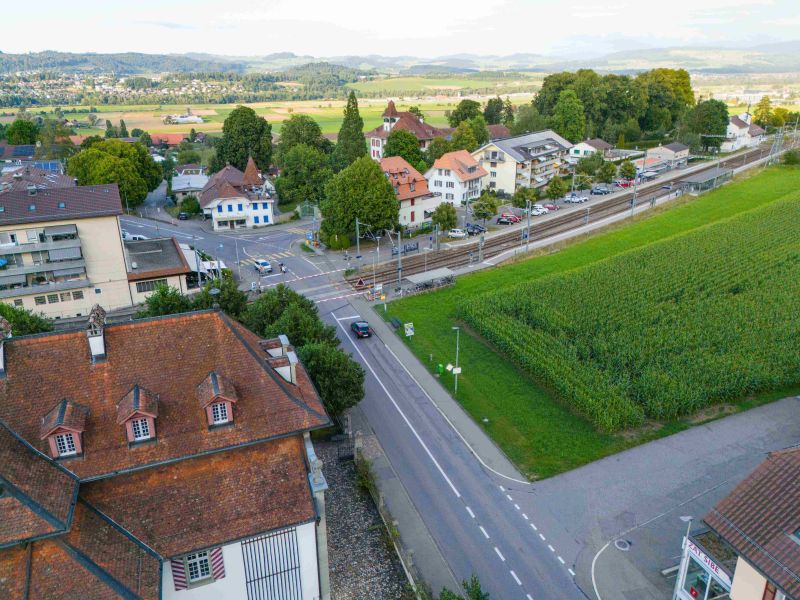 Wo heute Mais wächst, kommen Wohnungen und ein kleiner Park, und durch das Dorf sollen weniger Autos fahren. Foto: Nik Egger