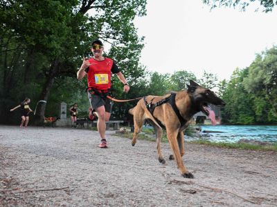 Beim CaniCross läuft der Hund an der Leine voraus und darf nicht überholt werden. Foto: zvg